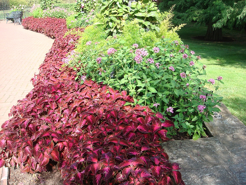 145 Longwood Gardens [2008 August 23].JPG - Longwood Gardens in Pennsylvania